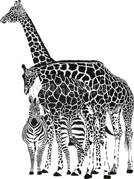 사람없음 EPS 일러스트 해외이미지 기린 디자인 야생동물 얼룩말 줄무늬 해외202004