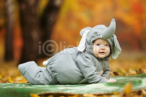남자 남자아기한명만 서양인 아기 한명 JPG 아웃포커스 옆모습 포토 해외이미지 가을(계절) 낙엽 동물옷 야외 엎드리기 잠옷 전신 주간 코끼리