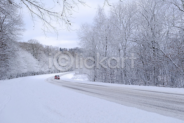 추위 사람없음 JPG 포토 해외이미지 겨울 길 나무 눈내림 도로 방법 서리 숲 얼음 자동차 해외202004 흰색