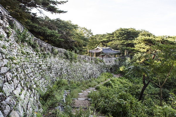 사람없음 JPG 포토 계절 나무 남한산성 성벽 식물 야외 여름(계절) 주간 풍경(경치) 한국