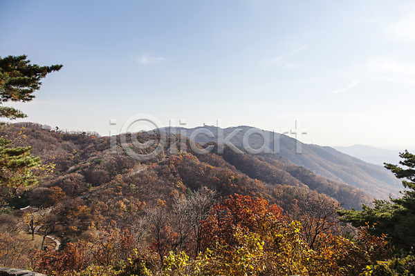 사람없음 JPG 포토 가을(계절) 계절 나무 남한산성 단풍 산 식물 야외 주간 풍경(경치) 하늘 한국