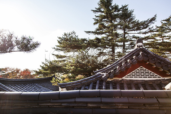 사람없음 JPG 포토 가을(계절) 건축물 계절 기와 나무 남한산성 식물 야외 주간 풍경(경치) 한국