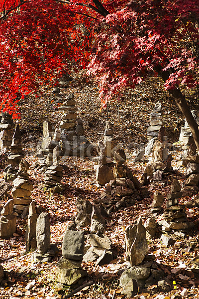 사람없음 JPG 포토 가을(계절) 계절 나무 남한산성 단풍 석탑 식물 쌓기 야외 주간 풍경(경치) 한국
