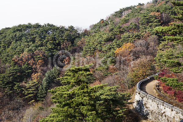 사람없음 JPG 포토 가을(계절) 계절 나무 남한산성 단풍 산 성곽길 성별 식물 야외 주간 풍경(경치) 한국
