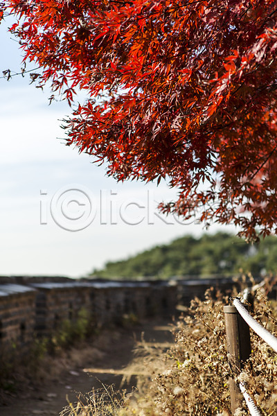사람없음 JPG 포토 가을(계절) 계절 나무 남한산성 단풍 성곽길 성벽 식물 야외 주간 풍경(경치) 하늘 한국