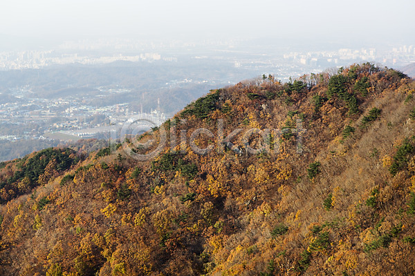 사람없음 JPG 포토 가을(계절) 계절 나무 남한산성 단풍 산 식물 야외 주간 풍경(경치) 하늘 한국