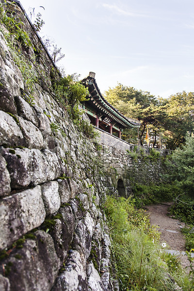 사람없음 JPG 포토 건축물 계절 나무 남한산성 돌담 성벽 식물 야외 여름(계절) 주간 풍경(경치) 한국 한국문화