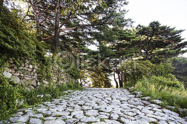 사람없음 JPG 포토 계절 나무 남한산성 성곽길 식물 야외 여름(계절) 주간 풍경(경치) 한국