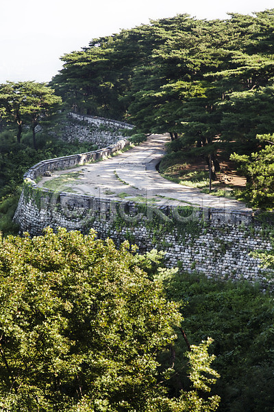 사람없음 JPG 포토 계절 나무 남한산성 성곽길 성벽 식물 야외 여름(계절) 주간 풍경(경치) 한국