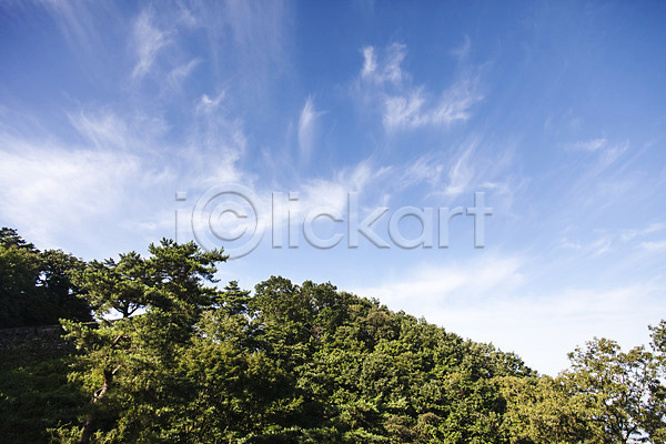 사람없음 JPG 포토 계절 구름(자연) 나무 남한산성 식물 야외 여름(계절) 주간 풍경(경치) 하늘 한국