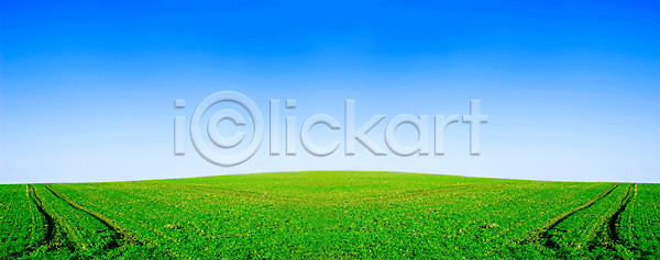 신선 평화 사람없음 JPG 포토 해외이미지 계절 구름 날씨 내추럴 농장 맑음 밭 백그라운드 봄 빛 시골 식물 야외 여름 일출 자연 잔디 장면 정원 초록색 컬러풀 태양 파란색 풍경 하늘 해외202004 해외포토 환경 흰색