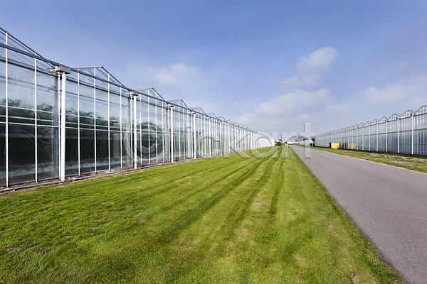 뜨거움 사람없음 JPG 포토 해외이미지 교통시설 네덜란드 농업 도로 비즈니스 산업 식물 아스팔트(도로) 야외 온실 외관 원예 유리 음식 자연 창문 초록색 태양 해외202004