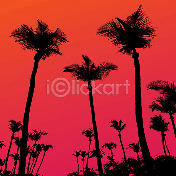 EPS 실루엣 일러스트 해외이미지 검은색 그래픽 그림 나무 디자인 백그라운드 보라색 분홍색 빨간색 손바닥 여름(계절) 오렌지 윤곽 이국적 일몰 자연 추상 코코넛 클립아트 태양 파라다이스 플로리다 하와이 해외202004 휴가
