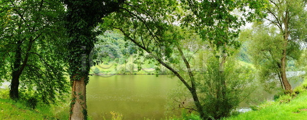 사람없음 JPG 포토 해외이미지 공원 길 나무 물 방법 양조 여름(계절) 자연 초록색 파노라마 포도밭 풍경(경치) 해외202004