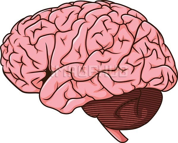 아이디어 집중 사람 EPS 옆모습 일러스트 해외이미지 건강 그림 내부 뇌 두통 디자인 마음 머리 명상 미술 선 엘리먼트 오르간 위기 윤곽 정상 지능 클립 해부 해외202004