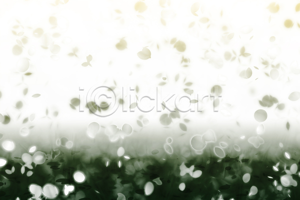 사람없음 JPG 포토 해외이미지 그라데이션 꽃 꽃잎 백그라운드 초록색 카피스페이스 해외202004