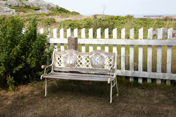 휴식 사람없음 JPG 포토 해외이미지 가구 공원 목재 무료 벤치 벽돌 숲 식물 야외 여름(계절) 옛날 의자 일반 자연 장식 정원 초록색 해외202004 햇빛