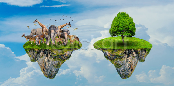 보호 지구온난화 사람없음 JPG 일러스트 포토 해외이미지 공원 나무 내추럴 디자인 백그라운드 사슴 세계 숲 심볼 야생동물 에코 이산화탄소 잎 자연 지구 초록색 추상 코끼리 파란색 하늘 해외202004 해외포토 행성 호랑이 환경