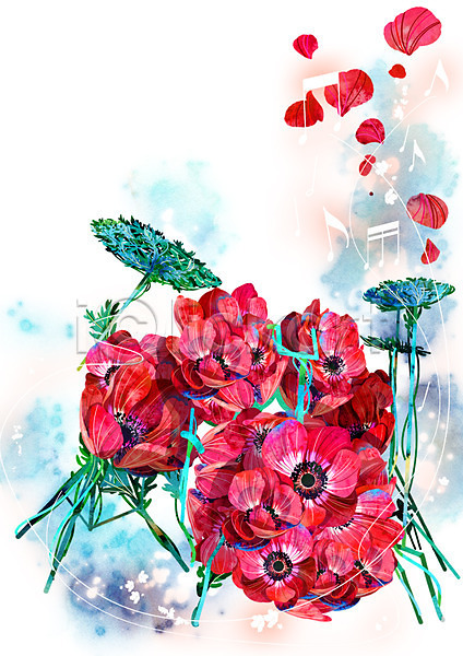 신비 화려 사람없음 PSD 일러스트 꽃 꽃잎 드럼 백그라운드 빨간색 식물 아네모네 악기 음표 컨셉 활용