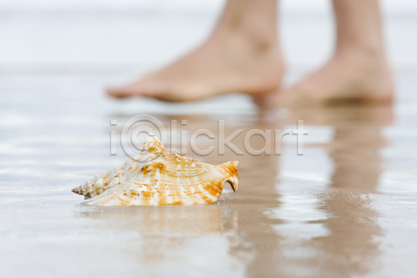 휴식 사람없음 JPG 포토 해외이미지 껍질 맨발 모래 물 바다 발 벌거벗은 양발 여름(계절) 해외202004 휴가