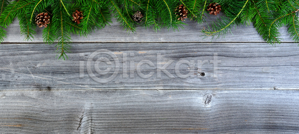 사람없음 JPG 포토 해외이미지 12월 계절 기념 나무 나뭇가지 머리위 목재 백그라운드 산타클로스 상록수 심볼 장식 전나무 전통 초록색 축제 카피스페이스 컨셉 크리스마스 크리스마스트리 클라우스 해외202004 휴가