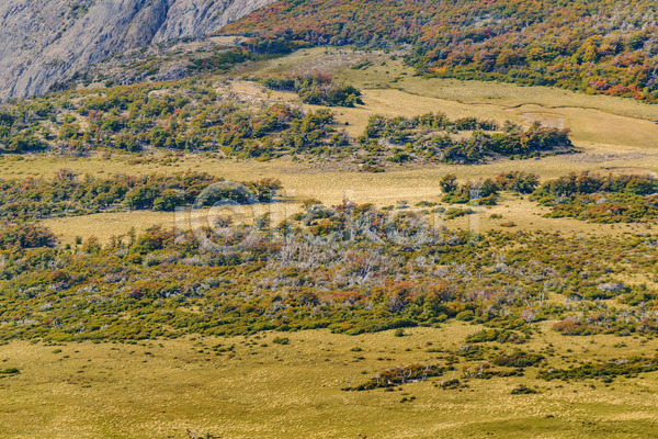 사람없음 JPG 포토 해외이미지 나무 내추럴 백그라운드 산 산타클로스 숲 아르헨티나 안테나 야외 언덕 여행 잎 자연 장면 트래킹 파노라마 풍경(경치) 하늘 해외202004 환경