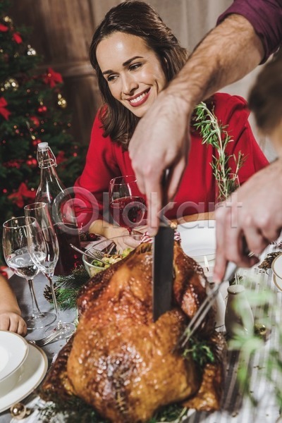 우정 함께함 행복 한명 JPG 포토 해외이미지 가족 관계 굽기 새해 음식 인사 자르기 잔치 저녁식사 정확 축제 칠면조 커플 크리스마스 크리스마스이브 해외202004 휴가