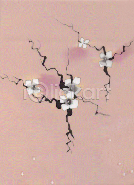 사람없음 JPG 포토 해외이미지 계절 꽃 꽃무늬 백그라운드 벚꽃 분홍색 생물학 식물 실크 야생동물 일본 자연 정원 직물 질감 컬러풀 해외202004 흰색