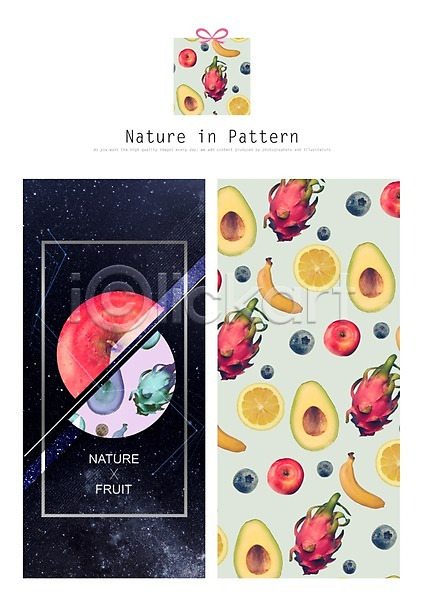 사람없음 PSD ZIP 일러스트 과일 디자인 리본 목업 바나나 백그라운드 블루베리 사과(과일) 선물상자 아보카도 오렌지 용과 자연 패턴 활용