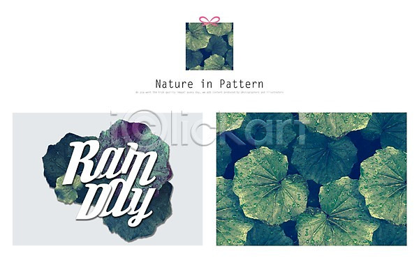 사람없음 PSD ZIP 일러스트 나뭇잎 디자인 리본 목업 백그라운드 선물상자 식물 잎 자연 패턴 활용