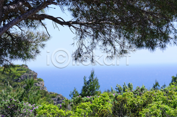 사람없음 JPG 포토 해외이미지 나무 바다 소나무 수평선 여름(계절) 자연 장면 지중해 초록색 파란색 풍경(경치) 하늘 해외202004