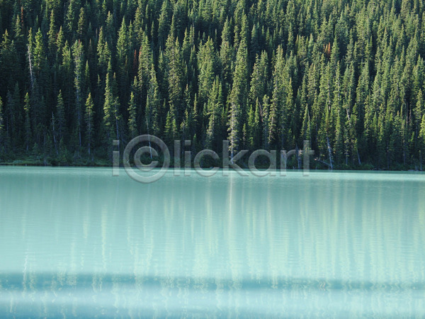 평화 휴식 사람없음 JPG 포토 해외이미지 가로 나무 모션 물 산 선 소나무 유기농 자연 주간 초록색 터키석 파란색 표면 플랫 해외202004 호수
