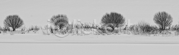 사람없음 JPG 포토 해외이미지 4 검은색 겨울 추상 파노라마 해외202004 흰색