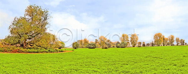 신선 활발 사람없음 JPG 포토 해외이미지 계절 구름 날씨 내추럴 농업 농장 땅 맑음 밭 밭일 백그라운드 봄 수평선 시골 식물 야외 언덕 여름 자연 잔디 장면 천국 초록색 컬러풀 태양 파라다이스 파란색 평야 풍경 하늘 해외202004 해외포토 햇빛 흰색