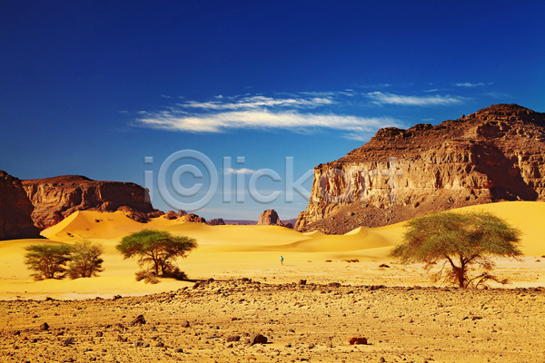 건조 뜨거움 사람없음 JPG 포토 해외이미지 가뭄 구름(자연) 나무 날씨 노란색 맑음 모래 모래언덕 바위 사막 사하라 산 아프리카 알제리 암초 여행 자연 파란색 풍경(경치) 하늘 해외202004 환경 황무지