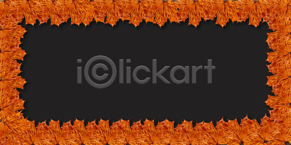 사람없음 JPG 포토 해외이미지 가을 검은색 내추럴 디자인 백그라운드 어둠 옛날 잎 자연 질감 창조 추상 패턴 프레임 해외202004 해외포토 회색