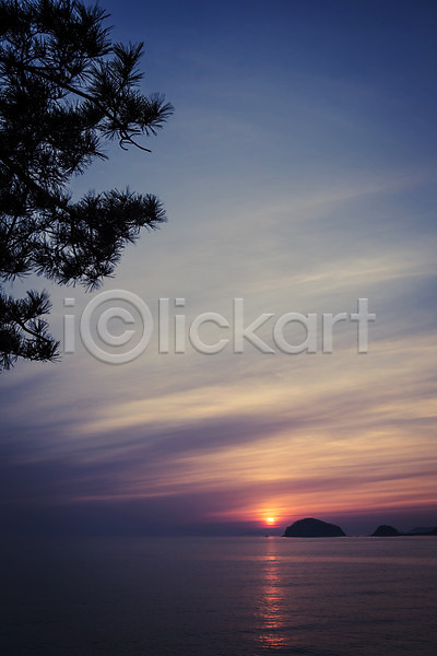 사람없음 JPG 포토 노을 소나무 솔섬 야외 자연 주간 태안 풍경(경치) 한국