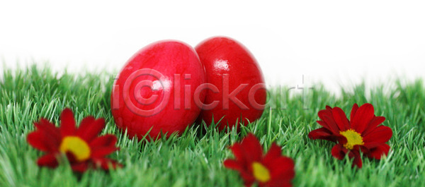 축하 행복 사람없음 JPG 포토 해외이미지 4월 계란 계절 고립 기독교 꽃 꽃무늬 놀람 둥지 디자인 백그라운드 봄 부활절 빨간색 선물 수집 심볼 음식 자연 장식 전통 종교 창조 초록색 컬러풀 토끼 패턴 페인트 해외202004 해외포토 휴가 흰색