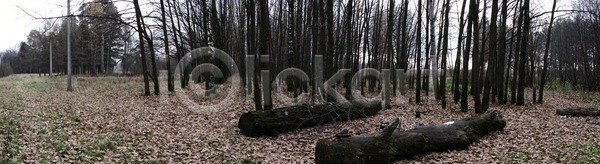 사람없음 JPG 포토 해외이미지 가을(계절) 강 기술 나무 날씨 러시아 문화 숲 철학 해외202004 해외포토