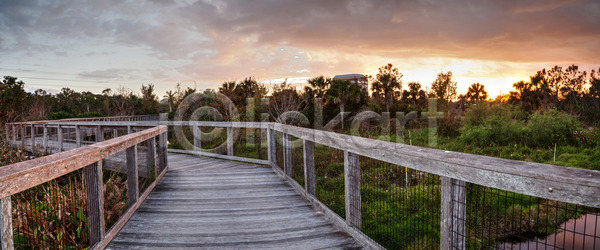 고독 침묵 사람없음 JPG 포토 해외이미지 공원 구름 길 나폴리 목재 물 반사 벤치 보호구역 산책로 습지 여행 연못 일몰 자국 자연 정원 풍경 플로리다 하늘 해외202004 해외포토