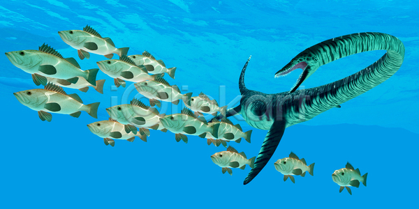 사람없음 JPG 일러스트 포토 해외이미지 공룡 그림 도마뱀 동물 멸종 물갈퀴 바다 북아메리카 생물 선사시대 수영 수중 원시시대 육식동물 척추동물 치아 해외202004 해외포토