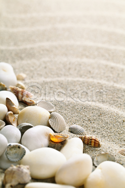 사람없음 JPG 포토 해외이미지 껍질 내추럴 모래 모래사장 모래언덕 묘사 바다 바위 백그라운드 벽지 빛 사막 세로 야외 여름(계절) 우주 자연 조개 조약돌 질감 카피스페이스 파도 해외202004 황금 휴가 흰색