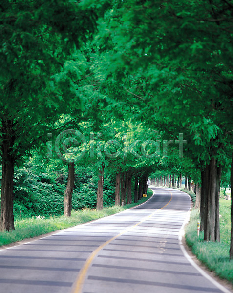 사람없음 JPG 포토 가로수 건축 교통시설 길 나무 도로 숲 시설물 식물 아스팔트(도로) 야외 원근감 자연 주간 차도 차선(도로) 풍경(경치) 현대건축