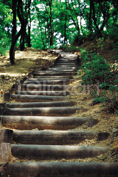 사람없음 JPG 아웃포커스 포토 계단 길 나무 나무계단 산 산책로 숲 숲속 식물 야외 오르막 원근감 자연 주간 풍경(경치)