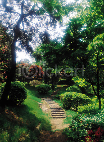 사람없음 JPG 포토 계단 그늘 길 나무 나무계단 산 산책로 숲 숲속 식물 야외 오르막 원근감 자연 주간 풍경(경치) 햇빛