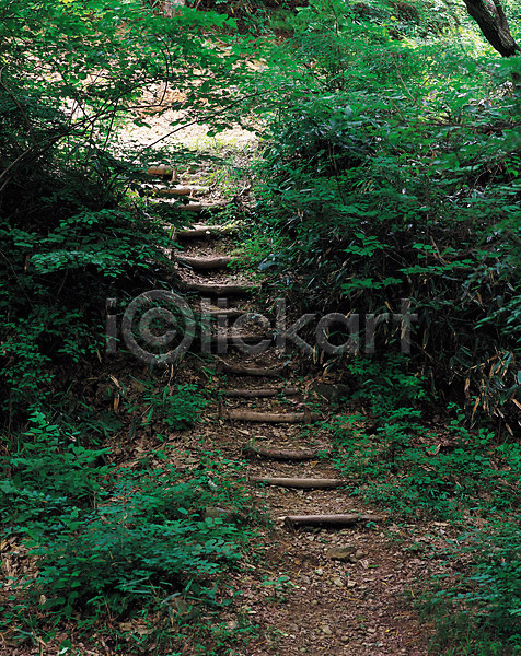 사람없음 JPG 포토 계단 길 나무 나무계단 등산로 산 산책로 숲 식물 야외 오르막 자연 주간 풍경(경치)
