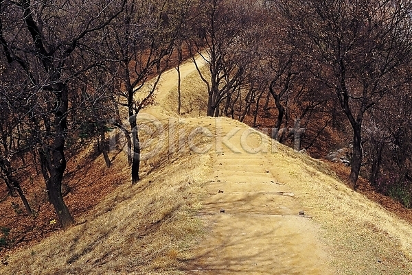 사람없음 JPG 포토 겨울 계단 계절 길 나무 내리막 등산로 산 산책로 숲 식물 야외 입동 자연 주간 풍경(경치)