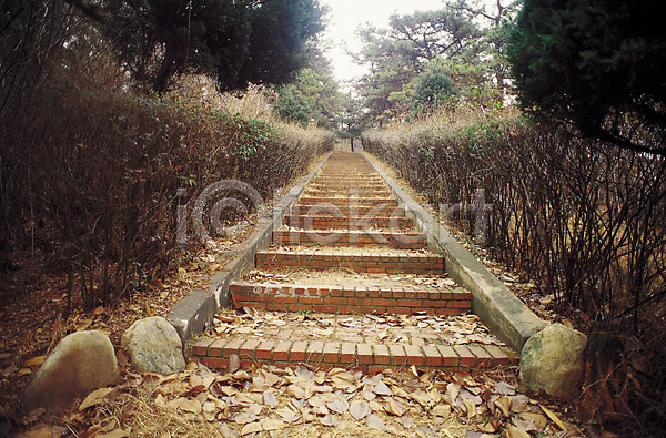 사람없음 JPG 포토 가을(계절) 가을풍경 계단 계절 길 나무 낙엽 돌(바위) 등산로 산책로 식물 야외 원근감 자연 주간 풍경(경치)