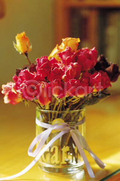 사람없음 JPG 아웃포커스 포토 꽃 꽃꽂이 꽃병 드라이플라워 리본 빨간색 식물 실내 여러송이 오브젝트 인테리어 장미 장식 컬러 컵