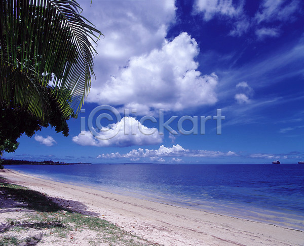 사람없음 JPG 포토 교통수단 구름(자연) 그늘 그림자 나무 모래사장 바다 배(교통) 수상교통 식물 야외 야자수 열대식물 자연 주간 풍경(경치) 하늘 해변